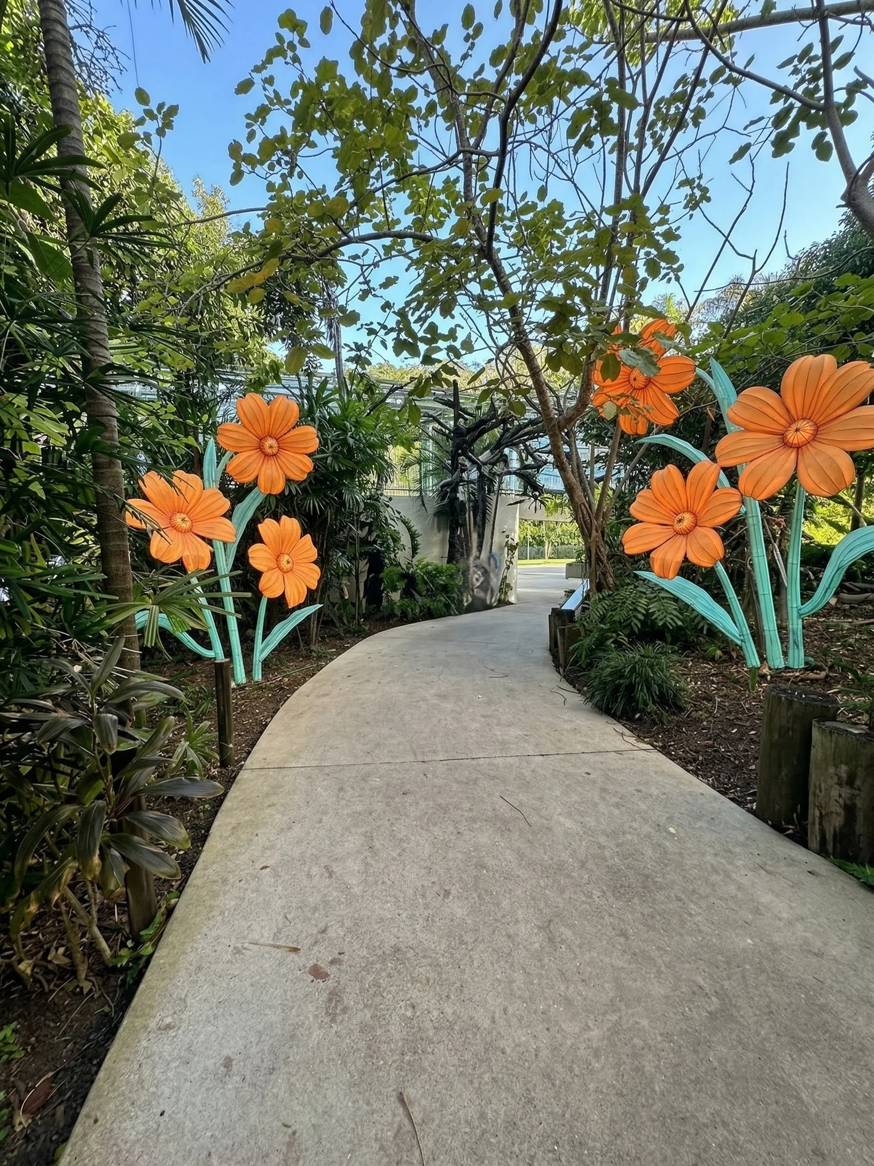 Radiant Silhouettes project 6 Day View
