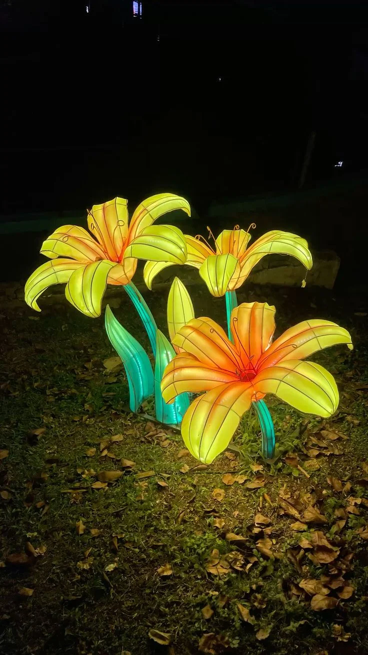 Radiant Silhouettes project 7 Night View